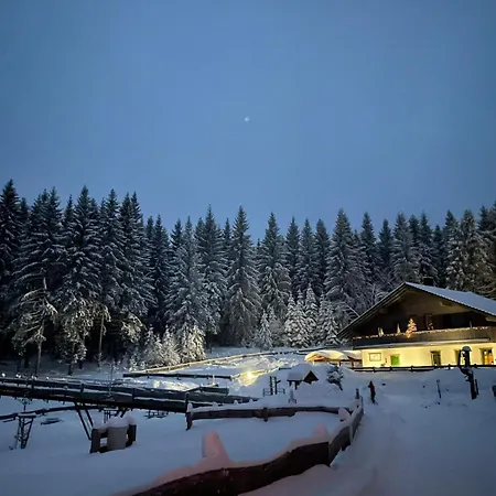 Werraquell Hütte Masserberg