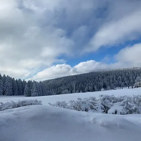 Werraquell Hütte * Masserberg