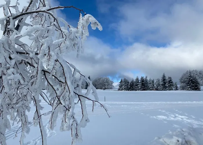 Daire Werraquell Huette Masserberg