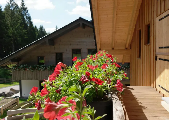 Apartment Werraquell Hütte *