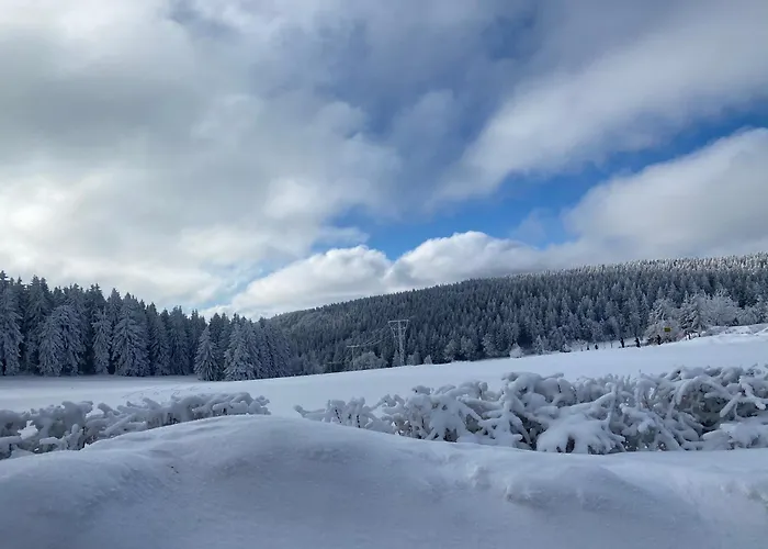 Werraquell Huette * Masserberg