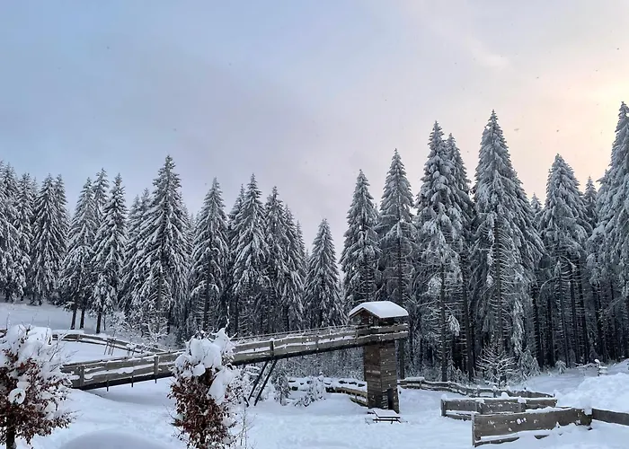 Daire Werraquell Huette