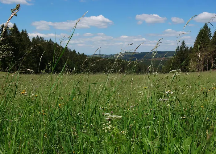 Werraquell Huette Daire Masserberg