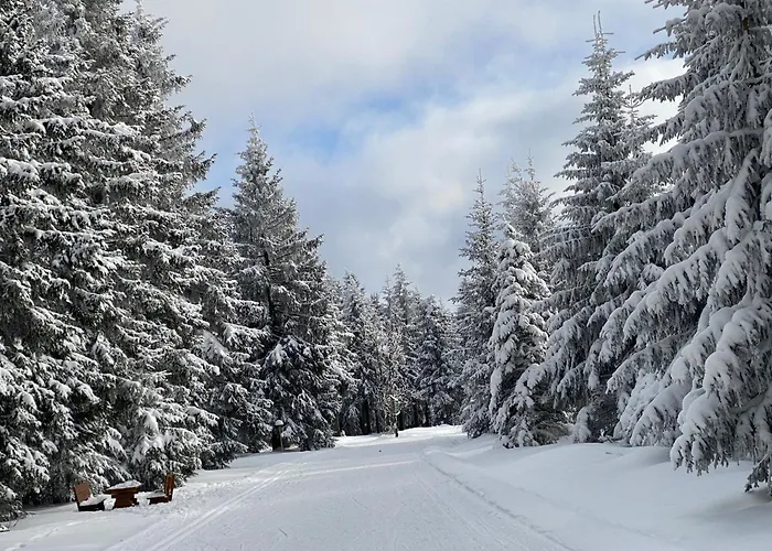Werraquell Hütte Apartment